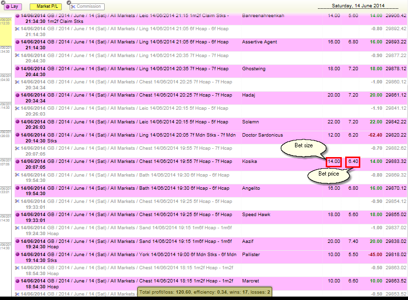 Sample statement for the Lay Pro 88 Staking Plan
